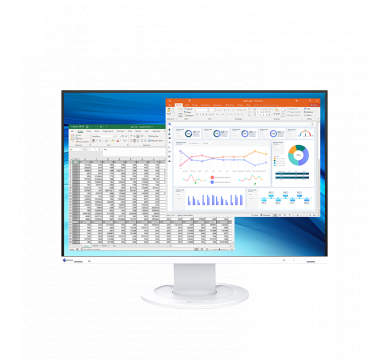 EIZO FlexScan EV2410R