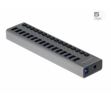 Delock External SuperSpeed USB Hub with 16 Ports + Switch