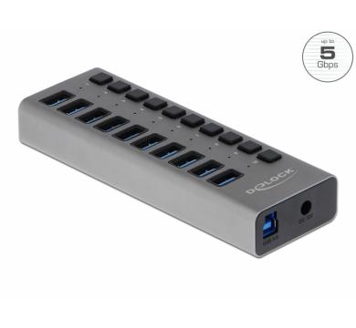 Delock External SuperSpeed USB Hub with 10 Ports + Switch