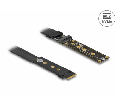 Delock Riser Card M.2 Key M Extension NVMe with 20 cm cable