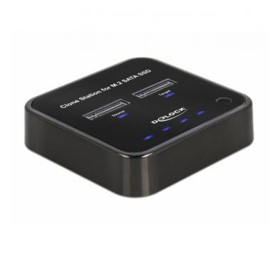 Delock M.2 Docking Station for 2 x M.2 SATA SSD