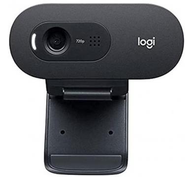 Logitech C505e