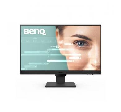 BenQ GW2490