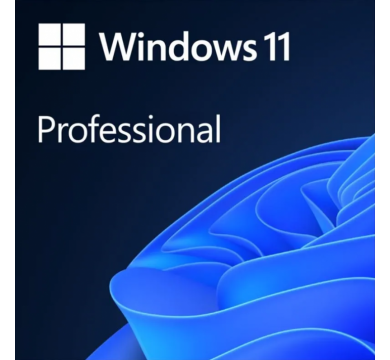 Microsoft Windows Pro 11 ESD