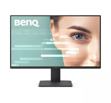 BenQ GW2491