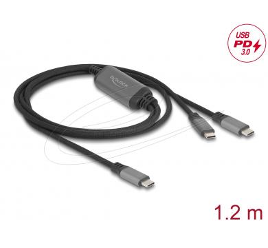 Delock USB-C Y-Cable 1 x male to 2 x male PD 3.0 100 W intelligent power distribution