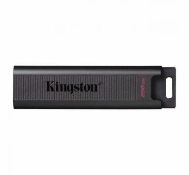 Kingston DataTraveler Max 256GB