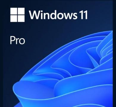 Microsoft Windows 11 Pro