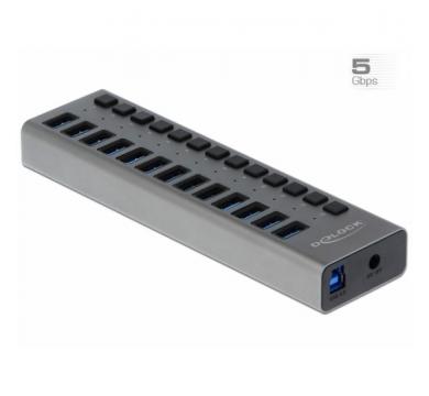 Delock External SuperSpeed USB Hub with 13 Ports + Switch