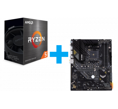 AMD Ryzen 5 5600X + ASUS TUF GAMING B550-PLUS