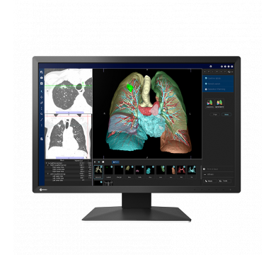 EIZO RadiForce MX243W